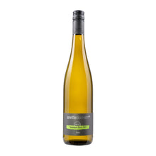 Anette Closheim  Sauvignon Blanc savvy  2023