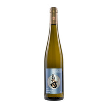 Battenfeld Spanier  Hohen-Sülzen Riesling  2022