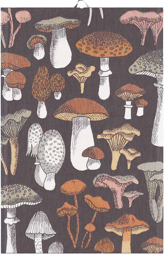 Ekelund  Svamprik Handtuch  40x60cm