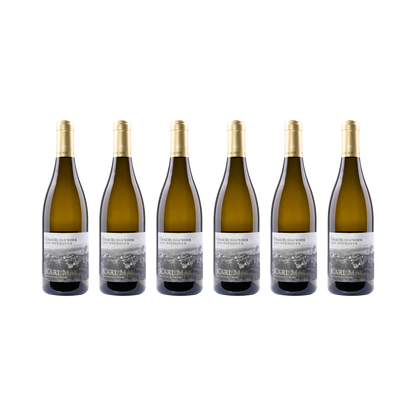 Grauburgunder Osthofen – 2025 — 6× 750 ml