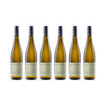 Gelber Muskateller – 2025 — 6× 750 ml