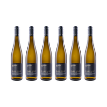 Riesling – 2025 — 6× 750 ml