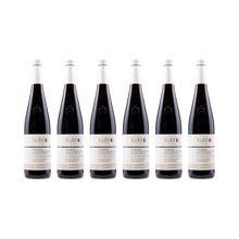 Apfelsaft mit Wildheidelbeere – 6× 750 ml