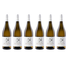 Oliver Zeter  Grauburgunder 6er Set