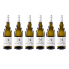 Oliver Zeter  Sauvignon Blanc 6er Set