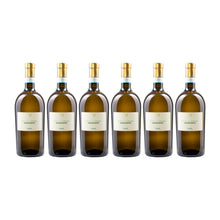 Pasini Il Lugana  6er Weinset