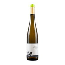 Pflüger Wein  Michelsberg Riesling  2018