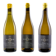 Rings  Kalk & Stein Vertikale 2021-2023