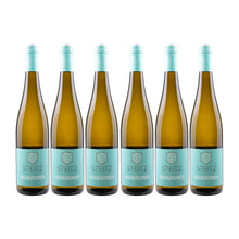 Steitz  Grauburgunder  6er Weinpaket
