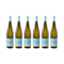Weißburgunder – 2025 — 6x 750ml