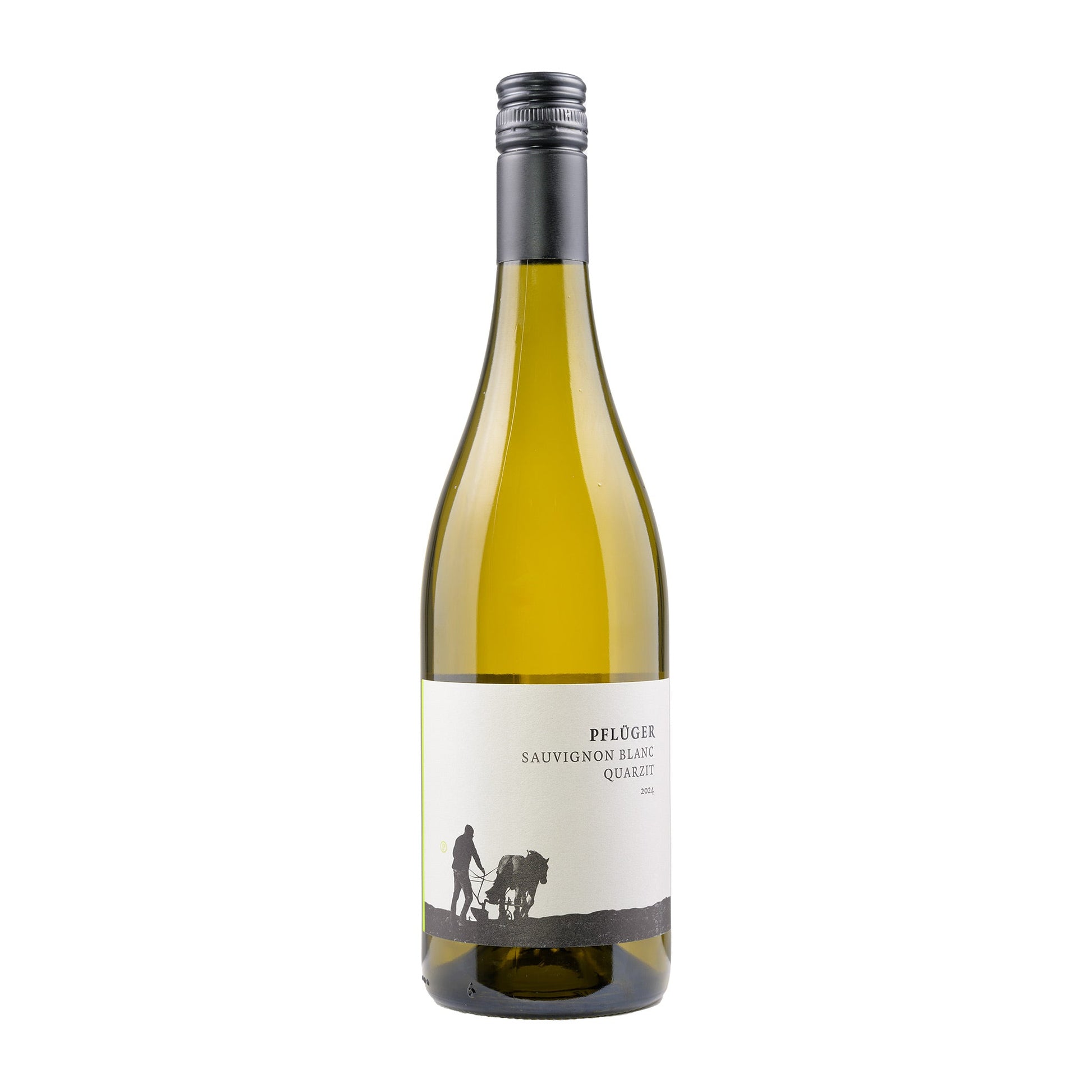 Weingut Pflüger  Sauvignon Blanc Quarzit  2024