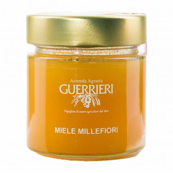 Guerrieri | Miele Millefiori Honig | 250g