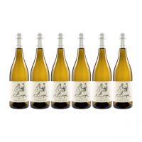 Oliver Zeter | Sauvignon Blanc | 6er Set 